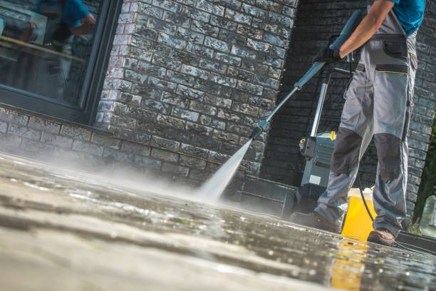 Best Soft Washing  in Oglesby, IL