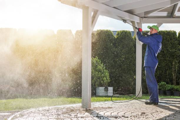Best Gutter Cleaning  in Oglesby, IL